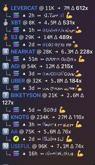A cryptocurrency leaderboard ranking displaying tokens like LEVERCAT, XBT, S3, NEARKAT, AGLI, UBER, BIKETYSON, KNOTS, AA, and USEFUL with their market caps and price changes.