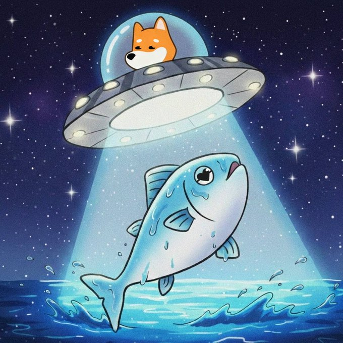 The image features a cartoon fish swimming through water, with an alien-like creature floating above it. The scene takes place against a backdrop of stars, creating a sense of wonder and adventure. The caption below the illustration provides information about the artist who created this unique piece of art.
