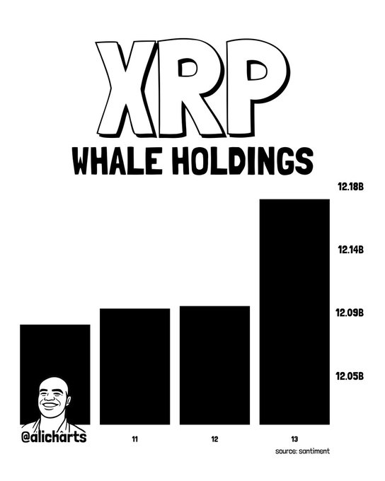 A black-and-white bar chart titled "XRP WHALE HOLDINGS" displays whale holdings rising across dates 11, 12, and 13, with the most recent bar on the 13th reaching approximately 12.18B—up notably from the prior days around 12.09B—corroborating the post's claim that XRP whales accumulated over 72 million tokens in the last 24 hours, hinting at potential bullish positioning. The image is credited to @alicharts with data from Santiment.