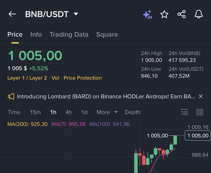 Binance trading interface showing BNB/USDT price at $1,005.00 (+5.52%), with 24h high of $1,005.00, 24h low of $946.10, and a price chart displaying MA(200): 925.30, MA(7): 995.58, and MA(100): 941.96.