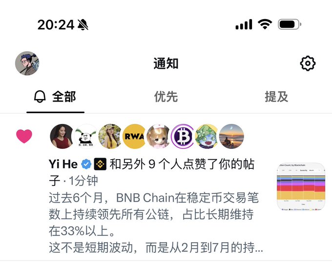 A Twitter/X notification screenshot showing that Yi He (Binance co-founder) and 9 others liked a post about BNB Chain leading stablecoin transaction volume on public chains for the past 6 months with a market share above 33%, visually confirming the accompanying post's gratitude toward "Big Sis" Yi He and BNB Chain's strong on-chain performance.