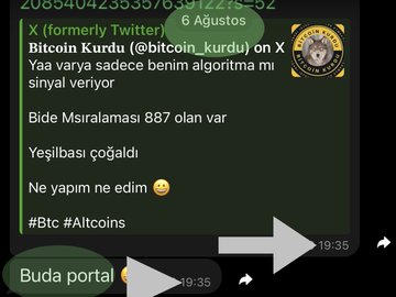 A screenshot of a Turkish Telegram chat on August 6 features a message from "Bitcoin Kurdu (@bitcoin_kurdu)" discussing his algorithm and rankings, including a note that someone with 887 ms ranking left and shaking hands, while a separate message below highlights "Buda portal" with an arrow pointing to the word "portal," tying into the $PORTAL ticker mentioned in the post.