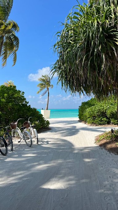 A sunny tropical beach scene features a white sandy path leading to turquoise waters, framed by palm trees and greenery. Three bicycles are parked on the left, complementing the "Gm frens" greeting by depicting a relaxing morning in paradise.