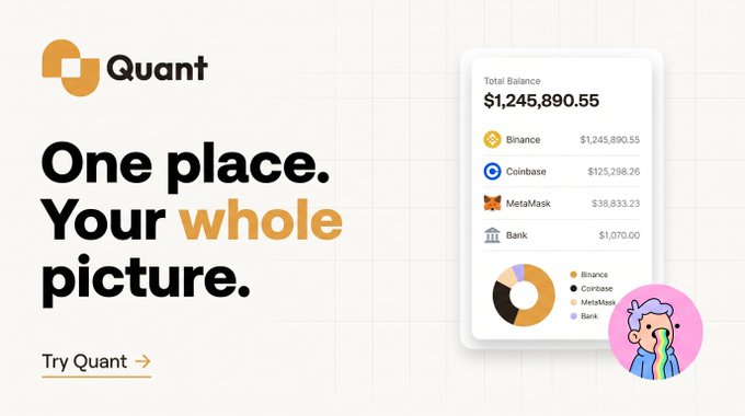 An advertisement for a finance app called 'Quant' with the tagline 'One place. Your whole picture,' displaying a dashboard showing a Total Balance of $1,245,890.55 across Binance, Coinbase, MetaMask, and a Bank account.