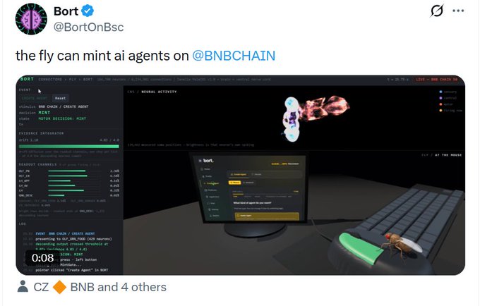 A tweet from @BortOnBsc shows a terminal interface and 3D scene titled "the fly can mint ai agents on @BNBCHAIN," featuring BORT ($BORT) branding, agent statistics, and a fly character next to a keyboard, aligning with the post's narrative about "immortal fruit flies" on BNB Chain.