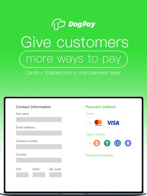 A promotional graphic for DogPay displaying the text 'Give customers more ways to pay' and 'Cards + Stablecoins in one payment layer,' alongside a checkout interface accepting cards like Mastercard and Visa and digital wallets.