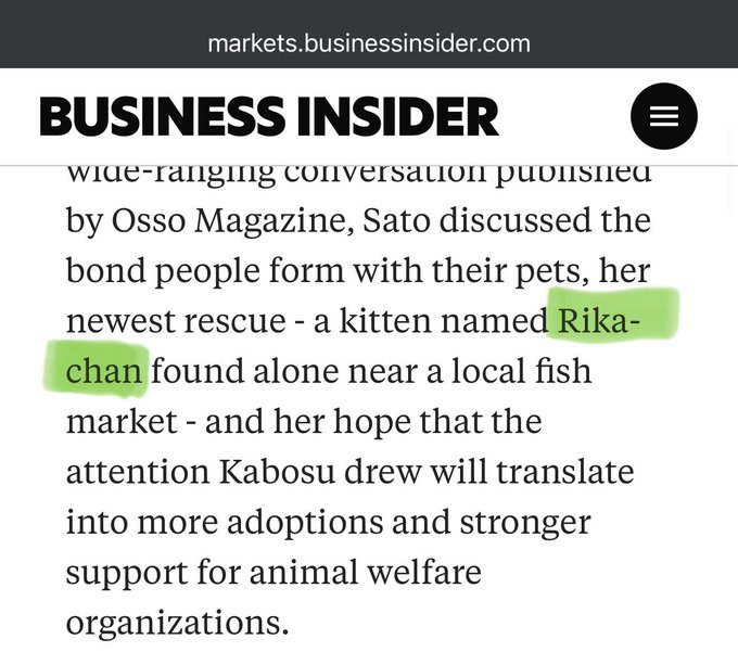 A Business Insider article excerpt (from markets.businessinsider.com) discusses Sato's interview in Osso Magazine about pet bonds and her newest rescue kitten named 'Rikachan,' found near a fish market.