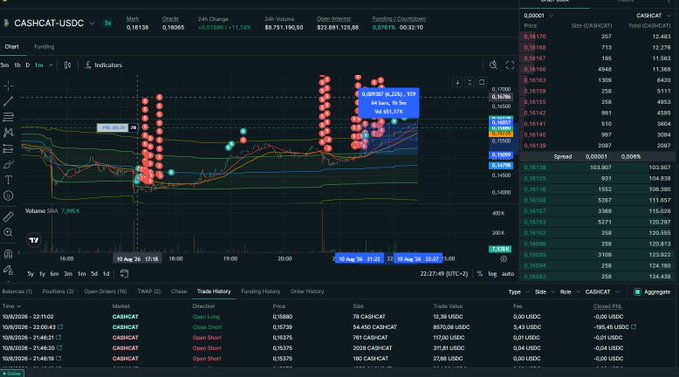 A trading interface shows the CASHCAT-USDC perpetual futures chart on MEXC with a 4.20% gain in 24 hours, displaying candlesticks, indicators, and active long/short positions.