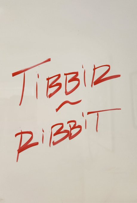 Red marker graffiti reading 'TIBBIZ RIBBIT' on a white surface.