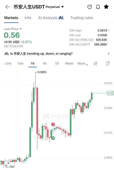 A screenshot of the 币安人生 (Binance Life) USDT Perpetual trading chart on MEXC shows the token at a last price of $0.56, up approximately 2.07% (+$0.0115), with 24-hour trading volume of 505.93K 币安人生 and 268.396K USDT, on a 1-hour candlestick timeframe displaying recent price action between $0.5006 and $0.5619.