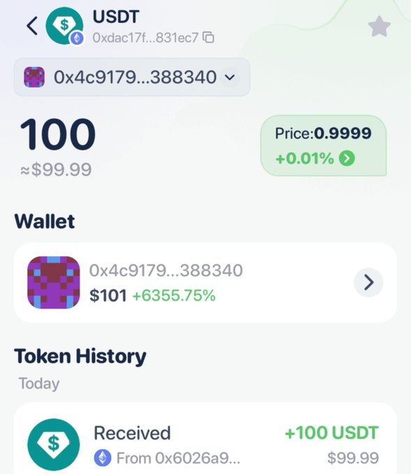 A mobile wallet screenshot showing 100 USDT (~$99.99) with a price of 0.9999, a wallet balance of $101 (+6355.75%), and a 'Received +100 USDT' transaction.
