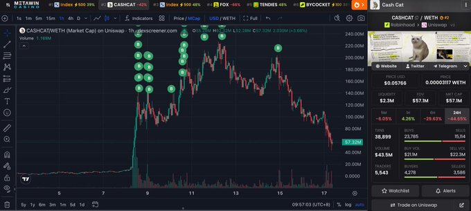 A TradingView chart of CASHCATWETH showing its market cap on Uniswap, displaying a dramatic spike and subsequent decline in price with various token indicators including WETH and WBTC visible.