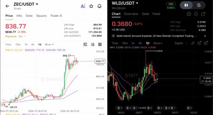 Two side-by-side cryptocurrency charts are shown: ZEC/USDT (Zcash) on Binance at $838.77 on the left, and WLD/USDT (Worldcoin) on Bybit at $0.3680 on the right.
