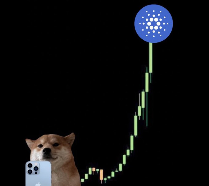 The image features a Shiba Inu dog holding an iPhone in front of a candlestick chart showing a strong upward green price trend, with the Cardano (ADA) logo positioned at the peak of the rally. It visually represents the post's anticipation of a Cardano and Midnight bull run, using the popular "doge with phone watching crypto charts" meme to capture the community's hopeful yet anxious stance on whether ADA's breakout is imminent.