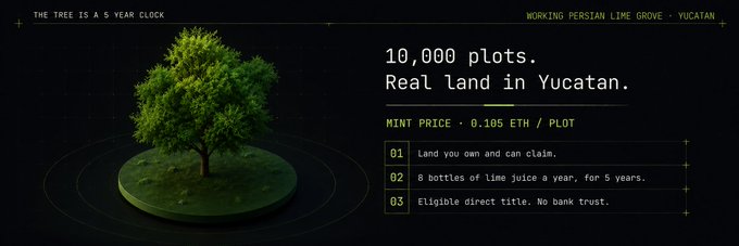 A promotional graphic titled 'THE TREE IS A 5 YEAR CLOCK' advertises '10,000 plots. Real land in Yucatan' with a mint price of '0.105 ETH / PLOT', detailing benefits like land ownership and 8 bottles of lime juice a year.