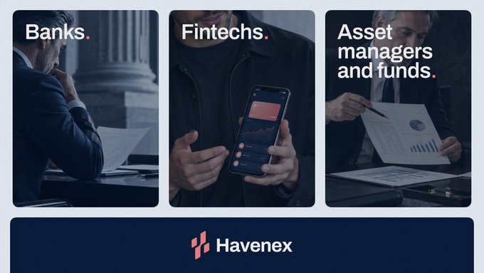 A Havenex advertisement displays three panels labeled 'Banks', 'Fintechs', and 'Asset managers and funds' showing professionals with documents and a smartphone displaying a financial chart.