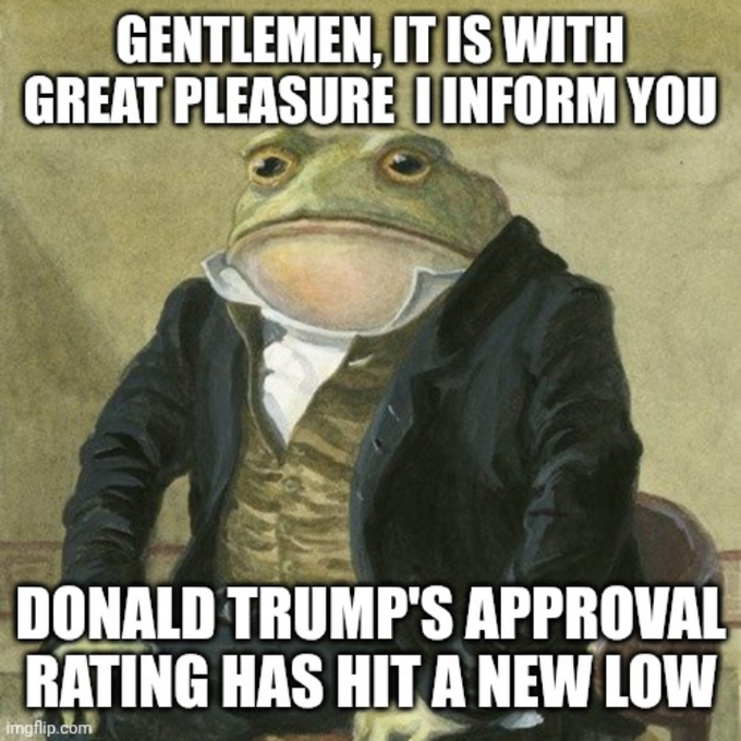 The image features a frog, which appears to be wearing a suit and tie, sitting in a chair with its arms crossed. The frog's facial expression gives off an air of superiority or annoyance as if it is judging someone else. The background of the image is white, making the frog stand out even more. The caption below the image reads: "I'M staring at the latest beta drop and the whispers about some hidden testnet that might actually deliver... But here'S what I can't shake off... Why are we rushing into all these shiny new chains? The big boys are already copy-pasting our old idwas while we chase the next".