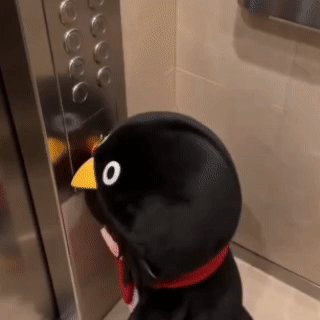 A black penguin-shaped object with a beak is seen pressing elevator buttons repeatedly. The scene humorously captures the relatable feeling of anxiously refreshing something (like a stock chart) while waiting, fitting the post's "checking the chart every 5 seconds" caption.