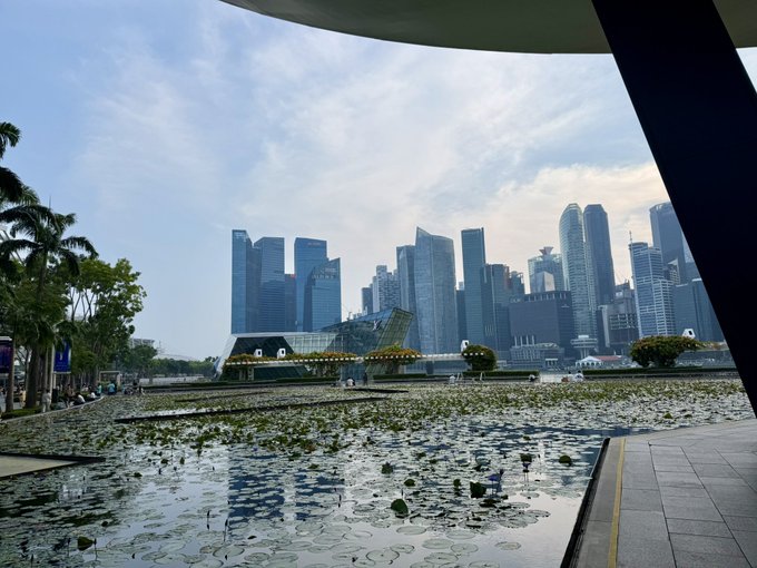 A view of the Singapore skyline featuring modern skyscrapers behind a lotus pond, taken from beneath a curved architectural structure with palm trees on the side.