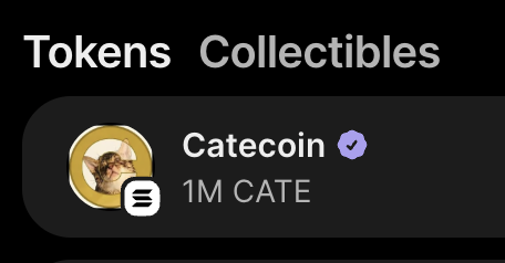 Screenshot of a 'Tokens Collectibles' interface displaying a verified 'Catecoin' entry with a cat icon and '1M CATE' balance.