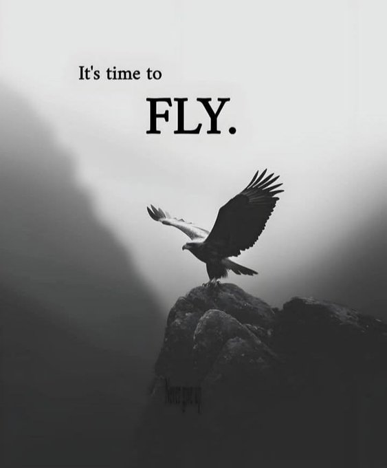 A dramatic black-and-white image shows an eagle with outstretched wings perched on a rocky cliff, with the text "It's time to FLY." displayed above, symbolizing a journey or departure. It complements a "goodnight" post by evoking the idea of taking flight into rest or new beginnings.