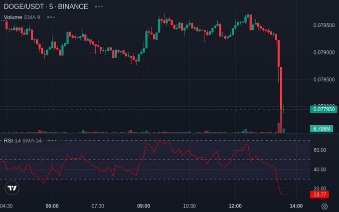 A TradingView candlestick chart for DOGE/USDT on Binance showing a sharp price drop, with RSI 14 at 13.77 indicating oversold conditions.