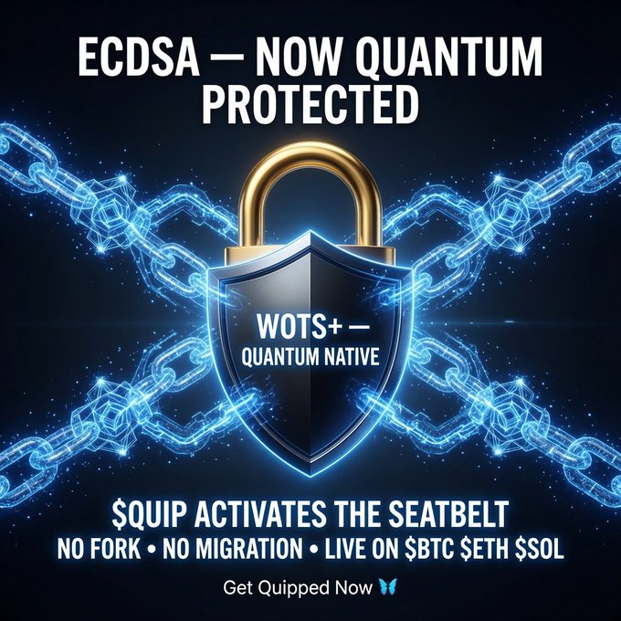 A promotional graphic featuring a glowing blue padlock and shield wrapped in digital chains, with the headline "ECDSA — NOW QUANTUM PROTECTED" and "WOTS+ — QUANTUM NATIVE" at its center. The bottom text highlights "$QUIP ACTIVATES THE SEATBELT — NO FORK • NO MIGRATION • LIVE ON $BTC $ETH $SOL," reinforcing the post's message about upgrading wallets from vulnerable legacy crypto standards to Quip Network's quantum-resistant WOTS+ protection.
