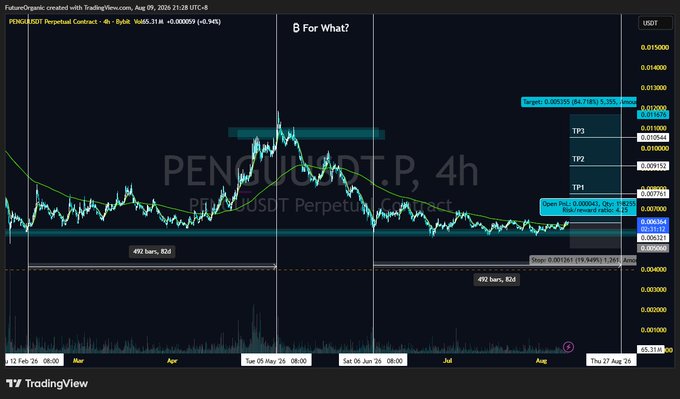 A 4-hour TradingView chart of **PENGU/USDT Perpetual Contract** (Bybit) showing a sideways range with entry at 0.00045, target at 0.001755, and stop at 0.000261, with annotation "B For What?" pointing to a recent price spike—suggesting uncertainty about the breakout following the token's listing on exchanges like OKX and Binance.