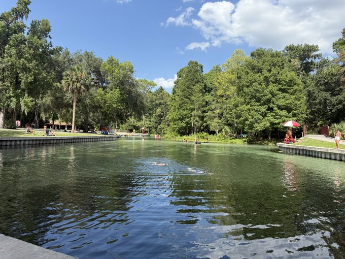 Photo of a scenic park with a large pond surrounded by lush green trees and palm trees under a partly cloudy blue sky, with people relaxing on the grassy banks and some swimming in the water.