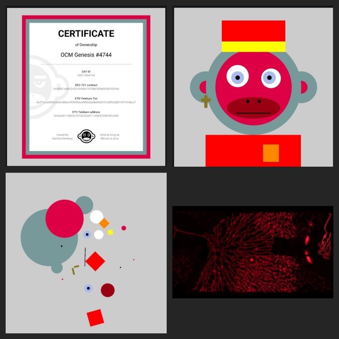 A collage of four images including a 'Certificate of Ownership' for OCM Genesis #4744, a pink cartoon monkey character with a cross earring, an abstract geometric design, and a dark scene with red laser lines.