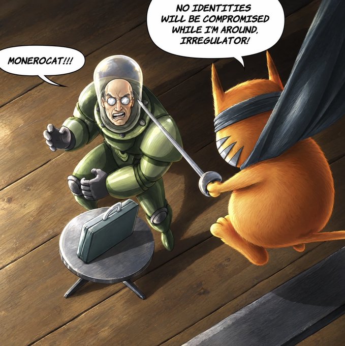 A digital illustration showing a suited character with a glass helmet shouting 'Monerocat!!!' as an orange cat wearing a cape defends with a sword, saying 'No identities will be compromised while I'm around, Irregulator!'