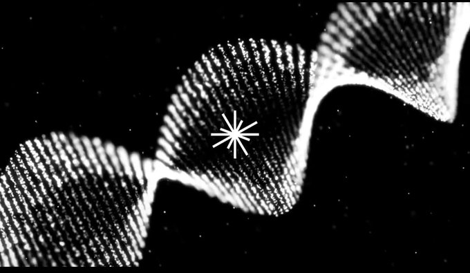 A black and white scientific image showing curved, moiré-like interference patterns of parallel bright lines, with an asterisk marker placed on the central wave structure.