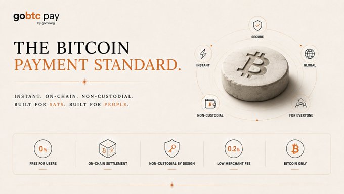 A promotional graphic for "goBTC pay by gowingo" presents "THE BITCOIN PAYMENT STANDARD" alongside a stone Bitcoin symbol surrounded by icons highlighting key features: Secure, Instant, Global, Non-Custodial, and For Everyone. A bottom banner displays five metrics—0% Free for Users, On-Chain Settlement, Non-Custodial by Design, 0.2% Low Merchant Fee, and Bitcoin Only—reinforcing the post's message that GoBTC Pay is the long-missing, user-controlled payment solution built natively for Bitcoin and sats.
