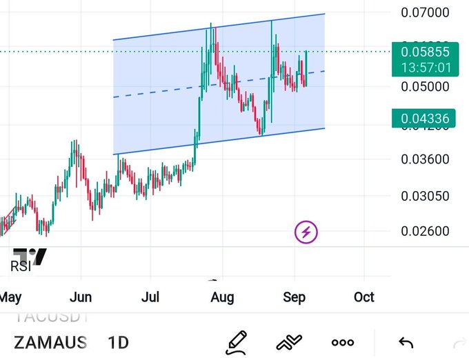 A TradingView chart for ZAMAUS on the 1D timeframe shows price action within an ascending channel, with the current price marked at 0.05855 and a recent swing low at 0.04336.