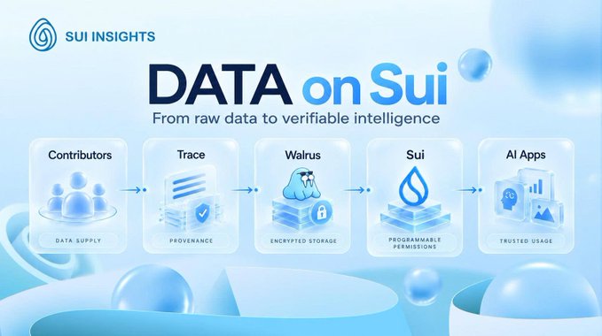 A Sui Insights infographic titled 'DATA on Sui: From raw data to verifiable intelligence' illustrating a five-step data pipeline: Contributors (Data Supply) → Trace (Provenance) → Walrus (Encrypted Storage) → Sui (Programmable Permissions) → AI Apps (Trusted Usage).