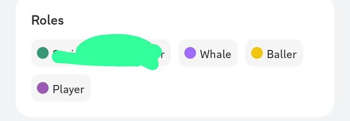 A digital interface titled "Roles" displays user tags, with one obscured by a green mark, alongside visible purple and yellow badges labeled "Whale", "Baller", and "Player".