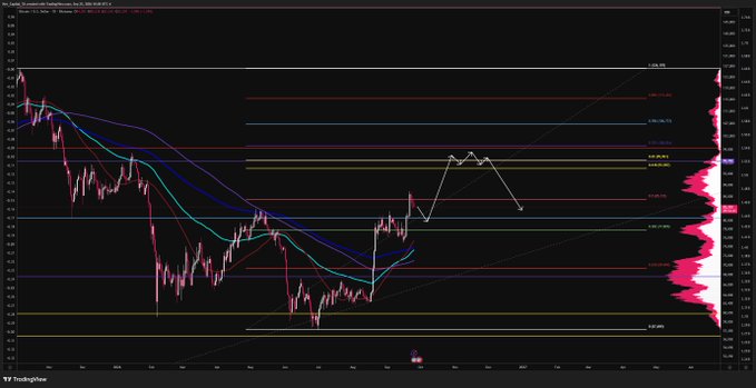 A BTC/USD chart shows price consolidating in the $77K–$93.5K range with Fibonacci retracement levels and moving averages, alongside a white annotation outlining a potential wave pattern toward $93.5K–$100K before a corrective pullback, visually reinforcing the post's bullish-then-hedge strategy.