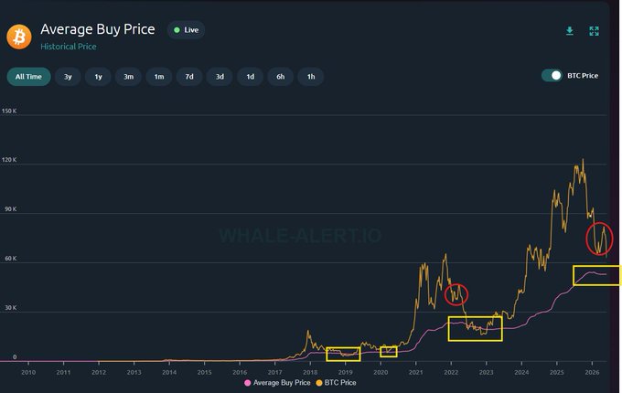 The image shows a graph with an upward trend that is labeled "Average Buy Price Live". The title of the post being displayed says "ZERO on-chain data points show $BTC price moving into a bull market prior to retesting the pink line aka average buy price."