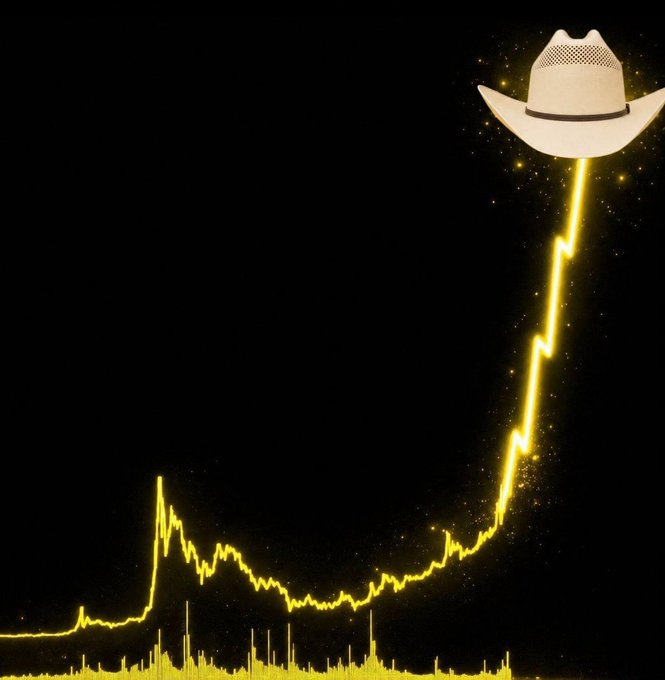 A glowing yellow stock/crypto chart on a black background, with a cowboy hat illustrated at the peak of the upward trend line.