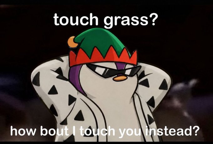 A meme featuring a cartoon penguin character wearing sunglasses and an elf hat, with text reading 'touch grass?' and 'how bout I touch you instead?'.