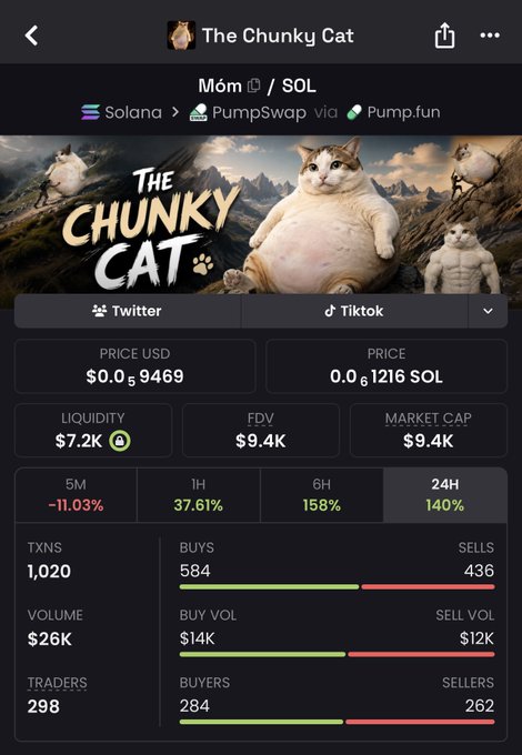 A cryptocurrency tracker app screen showing token 'M6m' / SOL for 'The Chunky Cat' on Solana via PumpSwap, with a price of $0.059469, market cap of $9.4K, and 24H change of 140%.