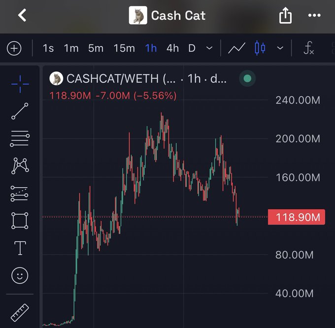A 1-hour TradingView chart for CASHCAT/WETH shows the token down 5.56% to 118.90M, with a -7.00M decline after a steep rally and subsequent pullback from highs near 240M. The chart's strong uptrend followed by a correction visually supports the post's bullish argument, suggesting the dip is a buying opportunity for those bullish on Robinhood-linked meme tokens.