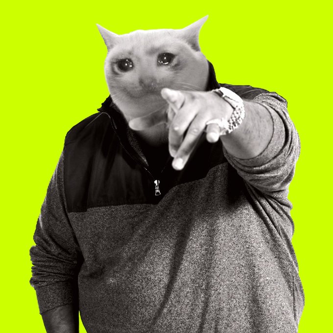 A grayscale photo of a man pointing at the camera with a cat's head photoshopped over his face, set against a bright green background. The image humorously embodies the $CASHCAT meme, reinforcing the post's thesis that cat-themed tokens could follow the success of doge and shiba in crypto.