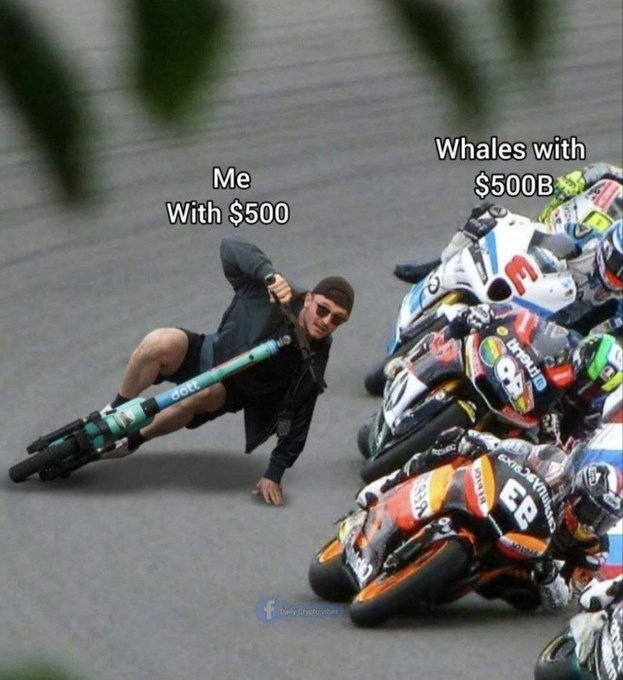 A meme using a photo of a cyclist falling, with labels 'Me With $500' over the fallen cyclist and 'Whales with $500B' over a group of professional cyclists racing past him.