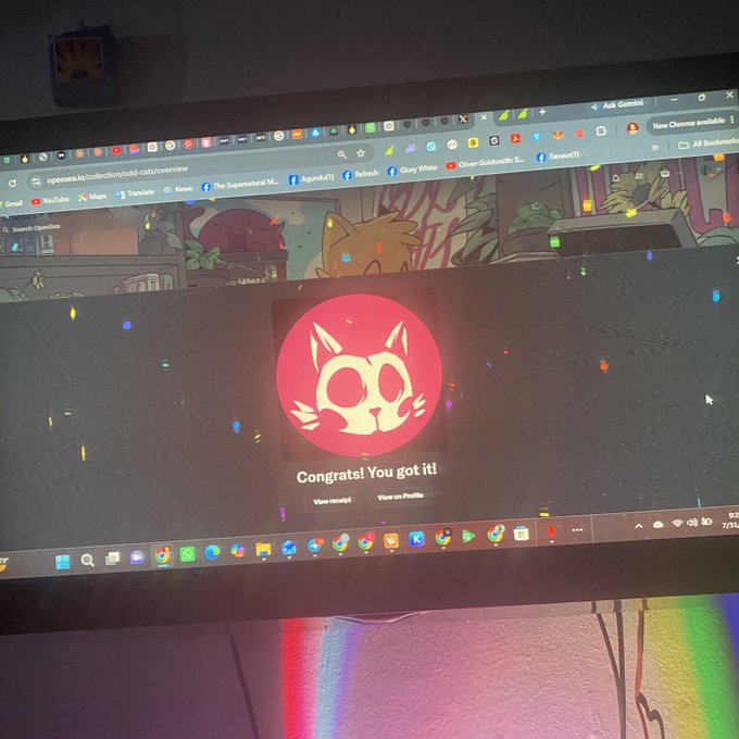 A computer monitor displays a 'Congrats! You got it!' message with a cat icon overlay, featuring colorful rainbow lighting beneath the screen.