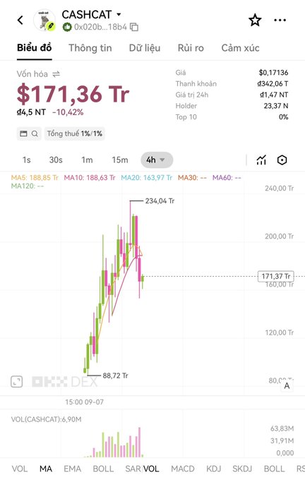 A mobile screenshot of a financial chart for the CASHCAT token showing a price of $171.36 Tr with a -10.42% change, displaying candlestick patterns and moving averages (MA5, MA10, MA20).