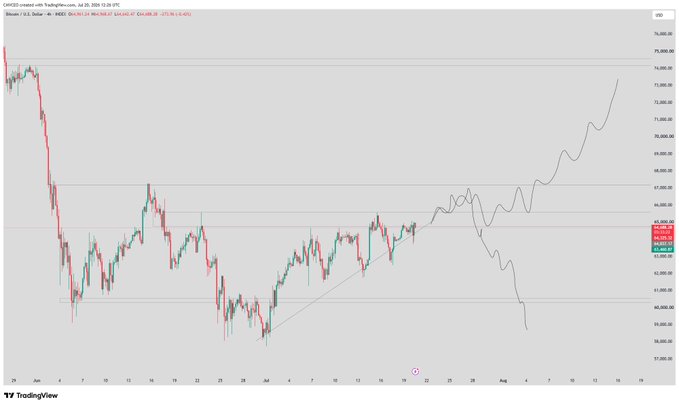 TradingView candlestick chart of BTC/USD showing a sharp drop from ~76,000 to ~57,000 followed by recovery and a forecast projection toward 73,000.