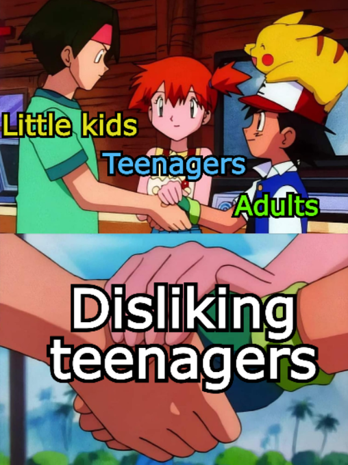 A Pokémon meme showing Ash, Misty, and Brock joining hands labeled "Little kids," "Teenagers," and "Adults," united against "Disliking teenagers."