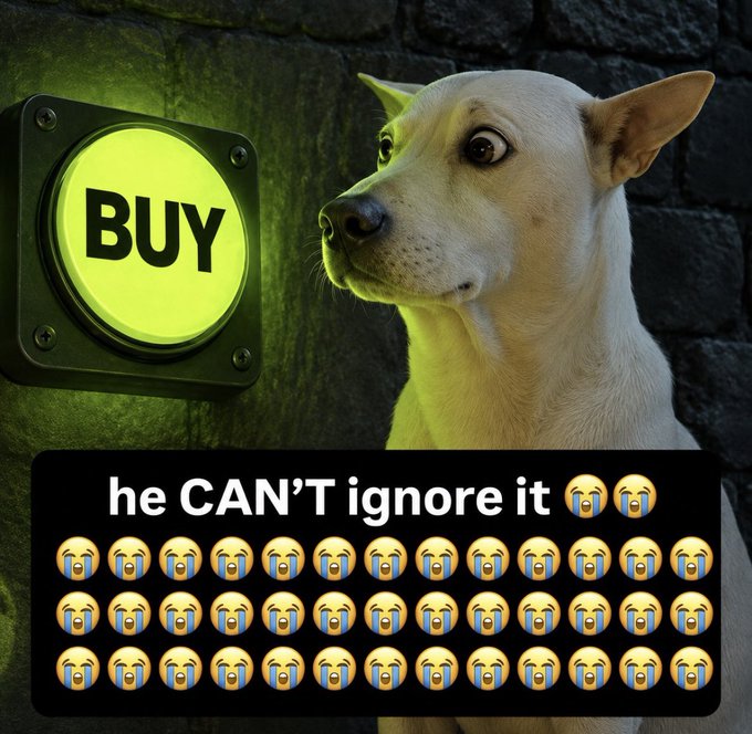 A meme featuring a white dog intensely staring at a glowing green 'BUY' button, with the caption 'he CAN'T ignore it' surrounded by rows of crying-laughing emojis.
