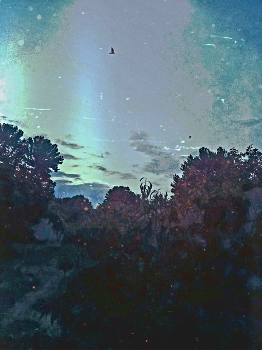 A dark, painterly illustration of a nighttime landscape with silhouetted trees and foliage, small glowing embers or fireflies scattered throughout, and a bird flying in a teal and starry sky.